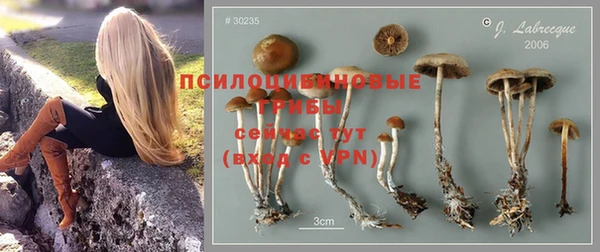 марихуана Новокубанск